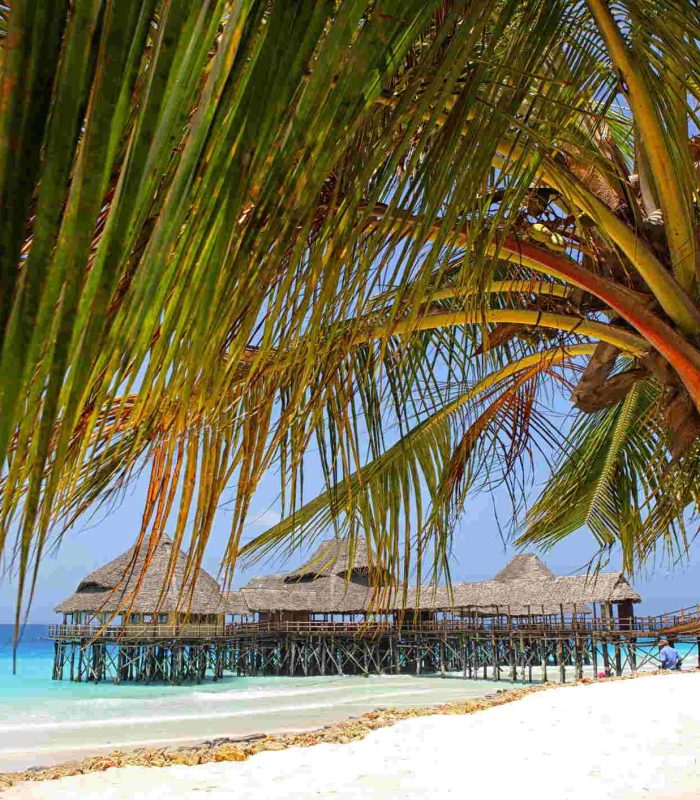 sesse-islands