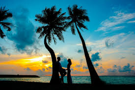Du Nairobi Honeymoon (Annex)