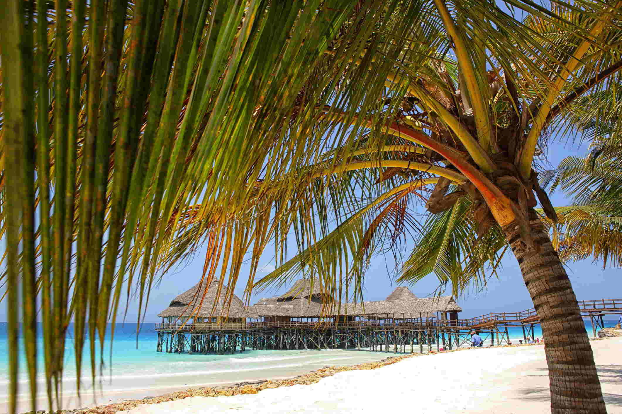 sesse-islands